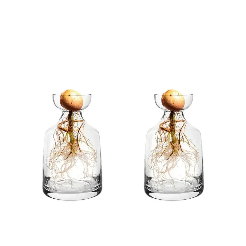 Avocado Growing Kit - Glass Seed Starter Vase for Gardening Lovers, Unique Hydroponic Planter Gift