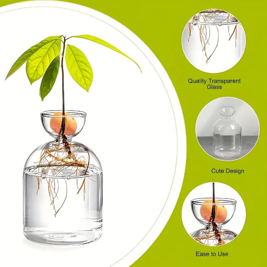 Avocado Growing Kit - Glass Seed Starter Vase for Gardening Lovers, Unique Hydroponic Planter Gift