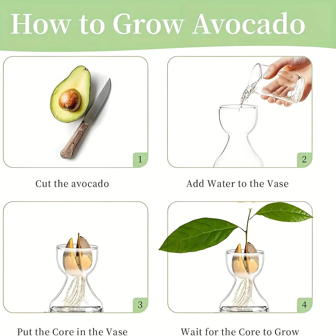 Avocado Growing Kit - Glass Seed Starter Vase for Gardening Lovers, Unique Hydroponic Planter Gift