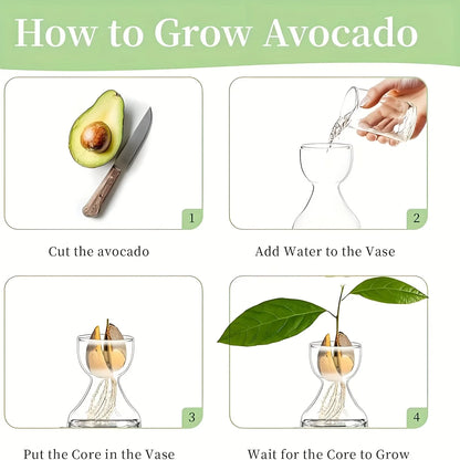 Avocado Growing Kit - Glass Seed Starter Vase for Gardening Lovers, Unique Hydroponic Planter Gift