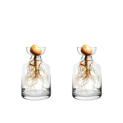Avocado Growing Kit - Glass Seed Starter Vase for Gardening Lovers, Unique Hydroponic Planter Gift