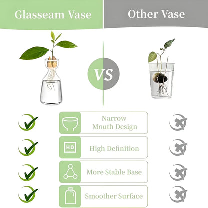 Avocado Growing Kit - Glass Seed Starter Vase for Gardening Lovers, Unique Hydroponic Planter Gift