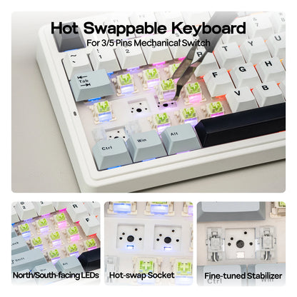 EPOMAKER X AULA F75 75% ANSI Hot-Swap Gasket Bluetooth 5.0/2.4G Wireless/Wired Mechanical Keyboard PBT Keycaps for Mac/Win