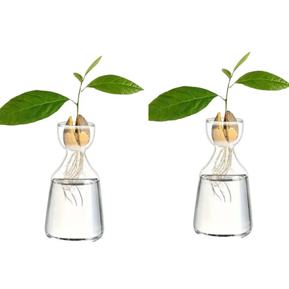 Avocado Growing Kit - Glass Seed Starter Vase for Gardening Lovers, Unique Hydroponic Planter Gift