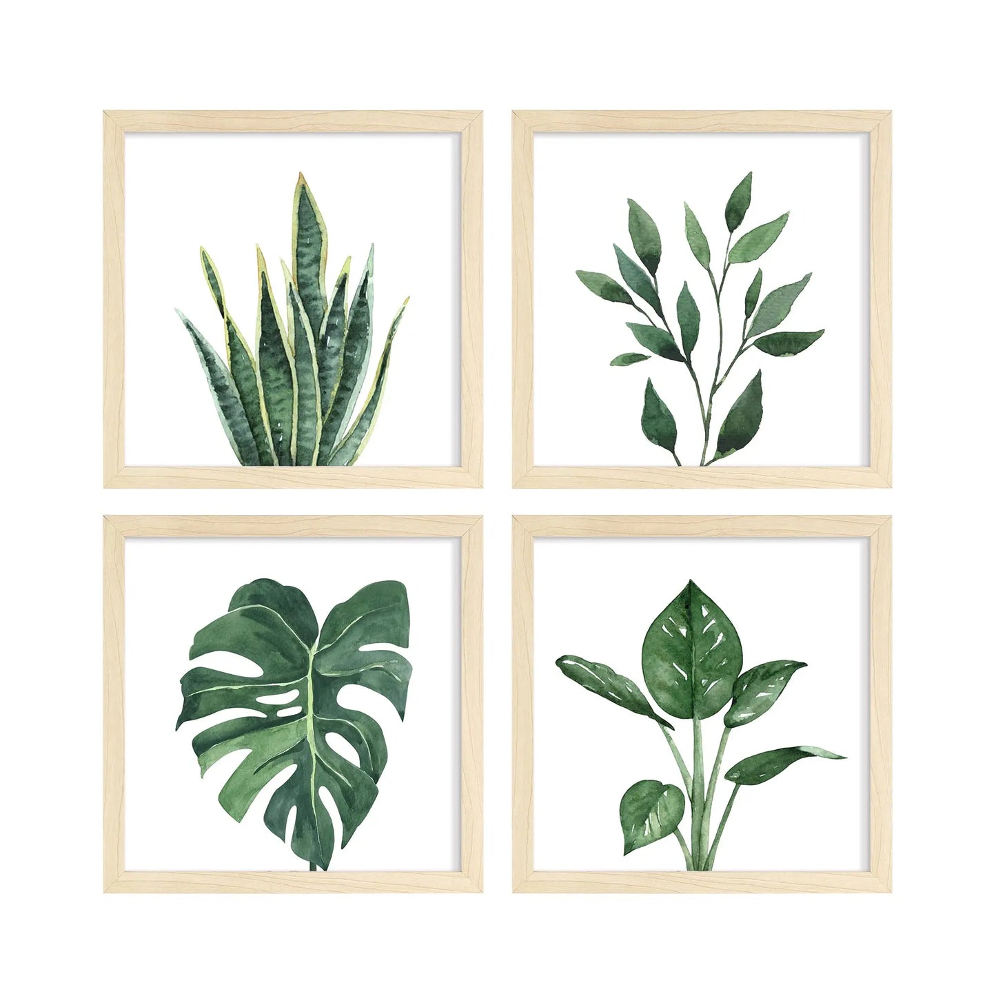 Framed Bathroom Wall Art Decor, 10x10 Inch 4 Pack Botanical Gallery Wall Frame Set Modern Farmhouse Sage Green Prints Artwork for Spa, Restroom, Bedroom, Office Decoration (Walnut)