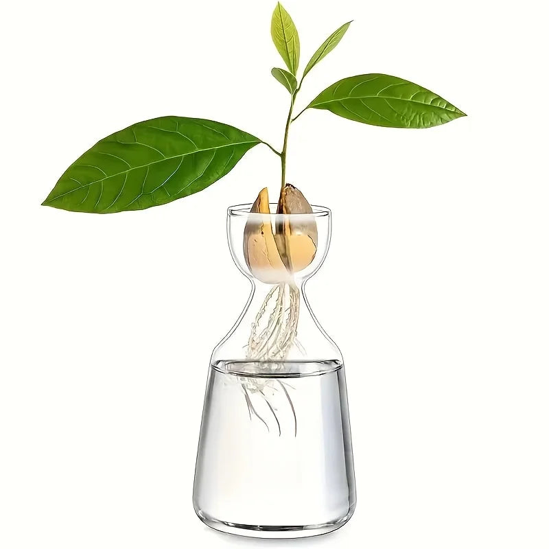 Avocado Growing Kit - Glass Seed Starter Vase for Gardening Lovers, Unique Hydroponic Planter Gift