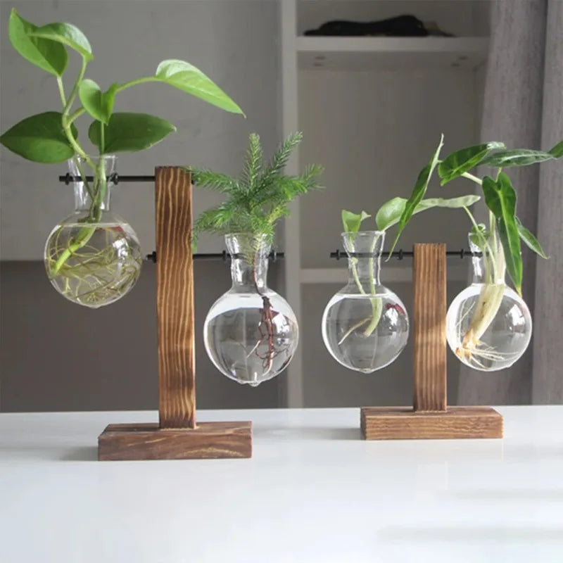 Glass Vase Hydroponic Plant Container Desktop Planter Wooden Vase Stand Bulb Water Planting Propagation Flower Vase Planters